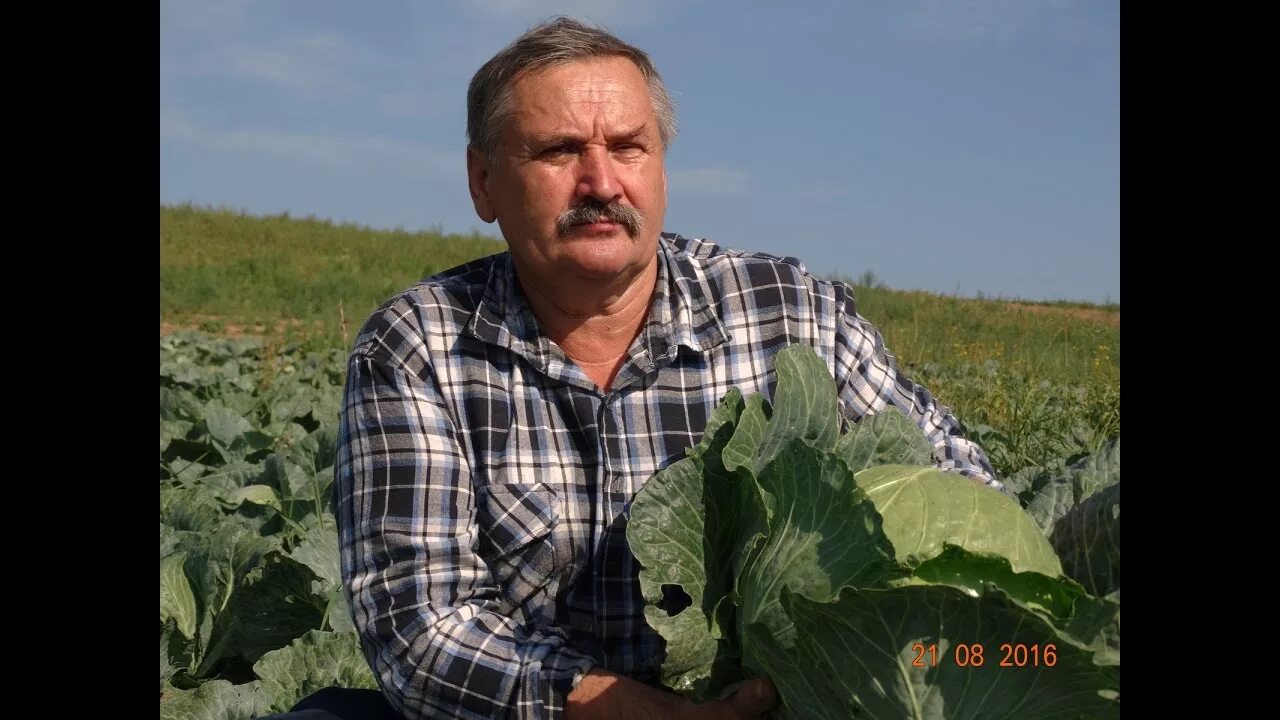 Хозу г. Хозу г