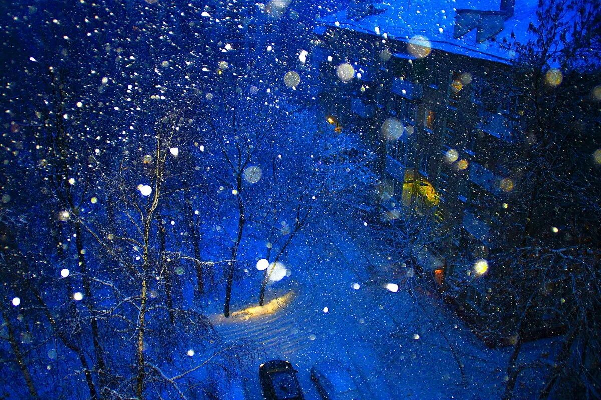 Снегопад вечером. Метель. Метель ночью. Синий зимний вечер. Синяя метель
