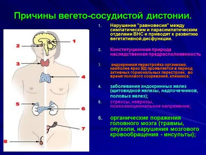 Причины всд. Вегетативно сосудистая система. Заболевания вегетативной нервной системы. Нарушение функций вегетативной нервной системы. Другие расстройства вегетативной [автономной] нервной системы.