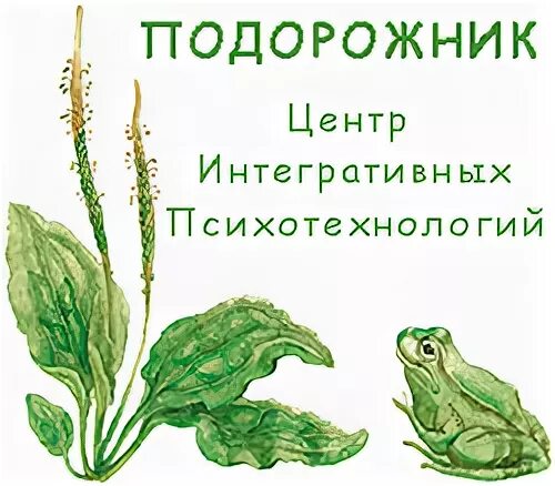 Текст песни подорожник трава алиса. Подорожник песня. Наркоман подорожник трава мне бы догадаться. Вокал для сопрано и фортепиано. Подорожник песня.