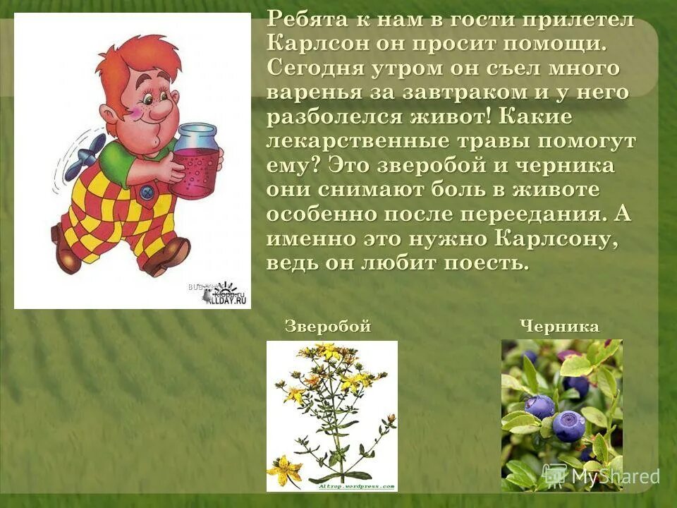 лечебные растения. какие растения помогают людям. лекарственные растения для дошкольников. какие растения помогают людям. лекарственные растения названия.