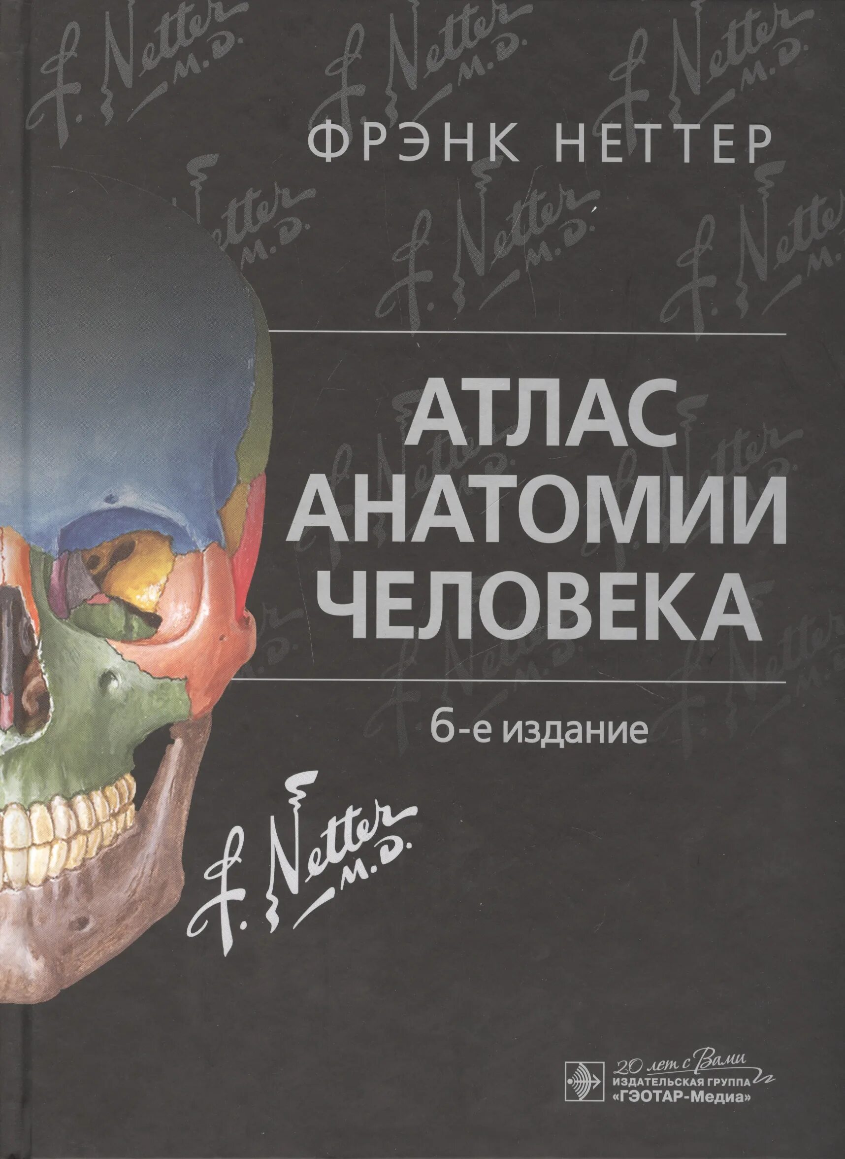 Атлас неттера 7 издание. Анатомия фрэнка неттера. атлас по анатомии фрэнка неттера. фрэнк неттер атлас анатомии человека 6 издание. фрэнк неттер атлас анатомии человека.