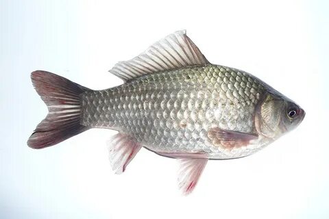 Ххх порно путок бисексуалы