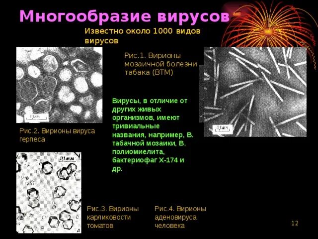 Столбняк туберкулез мозаичная болезнь табака