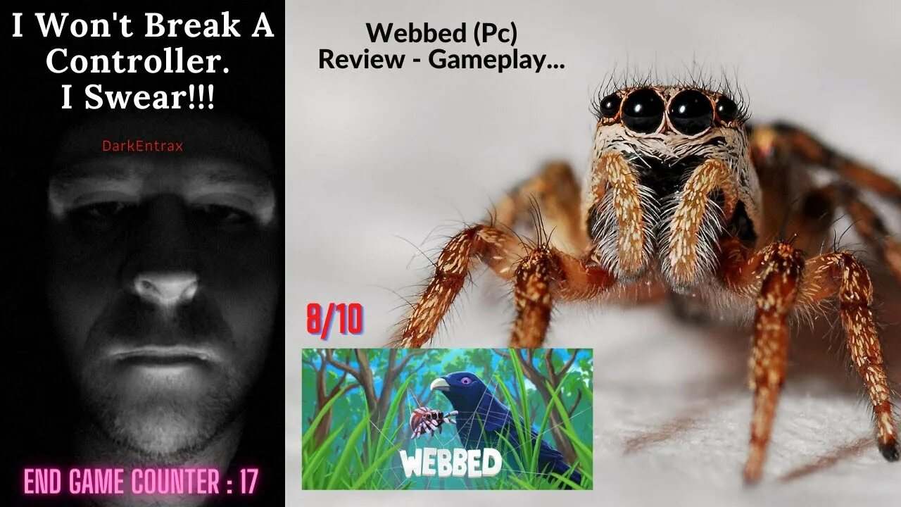 Webbed русская версия. Webbed отчивки. Ariados webbed.