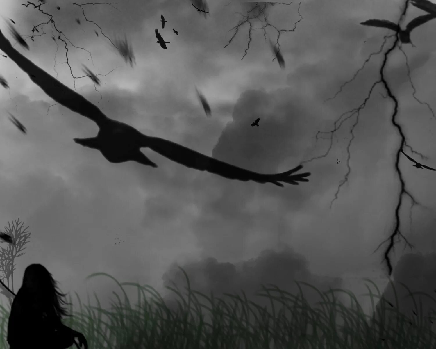 Воронье и девушка. Кружат вороны надо мной. Вороны на заборе. Вороны в небе. Стая воронов.