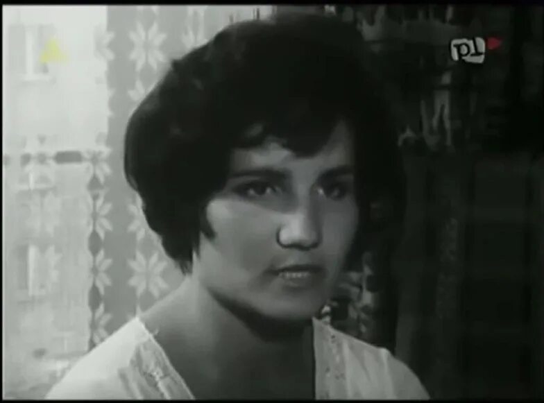 Пани история. Пани история. Пани история. Пани. Пани история.