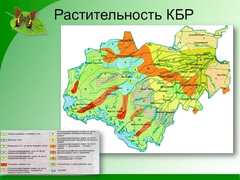 Карта почв Кабардино Балкарии. Карта растительности Кабардино Балкарии. Карта КБР почвы. Почвенная карта КБР. В какой природной зоне находится краснодарский