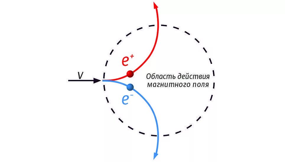 Движение заряженных частиц по окружности. Траектории электрона и позитрона в магнитном поле. Траектория движения электрона в магнитном поле. Траектория движение электрона в магнитом поле. Траектория движения частицы в магнитном поле.