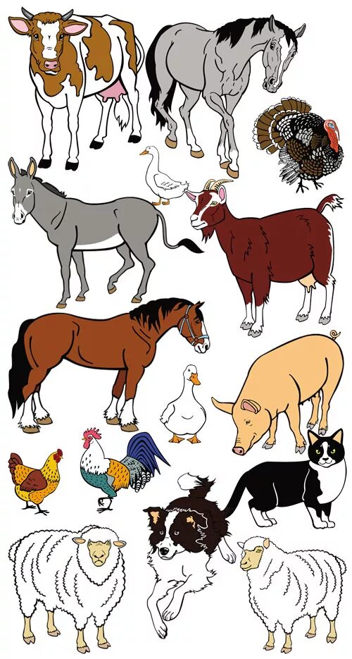 Изображение домашних животных. Домашние животные рисунки. Домашние животные вектор. Домашние животные картинки для детей.