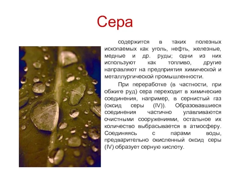 Вода содержащая серу. Сера содержится в. полезные ископаемые сера. серная вода чем полезна. в чем содержится сера.