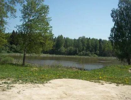 Тропарево можайск
