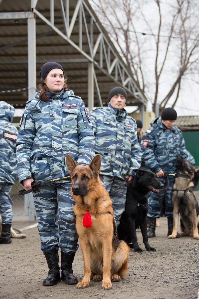 Кинологи цена обучения. Ростовская школа служебного собаководства. Школа служебно розыскного собаководства Ростов. Ростовская школа служебного собаководства МВД России. Ростовская Кинологическая школа МВД.