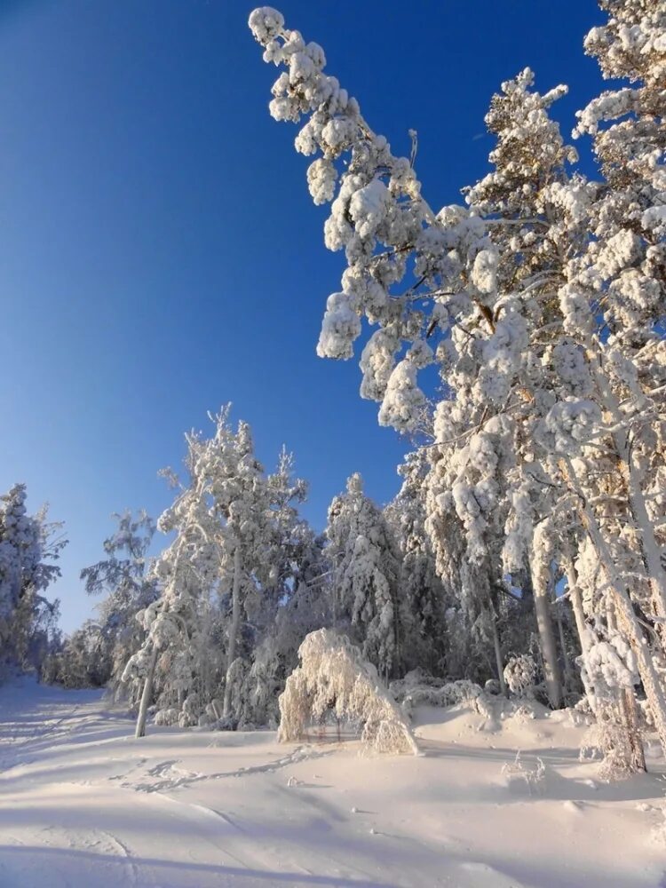 Бухта тихая ледяные водопады 2020 г. Река енисей зимой. Огромные ледяные сугробы. Который был создан в январе. Как в старину называли январь месяц.