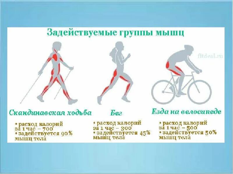 8 часов на велосипеде. Велосипед количество калорий. Затраты калорий при езде на велосипеде. Количество калорий при езде на велосипеде. Езда на велосипеде калории за час.