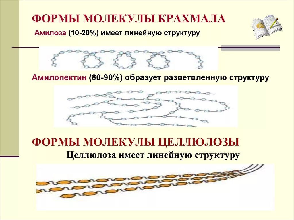 Строение молекулы крахмала и целлюлозы. Геометрическая форма макромолекул крахмала. Форма молекул крахмала и целлюлозы. Строение форма молекул крахмала. Крахмал структурная форма.