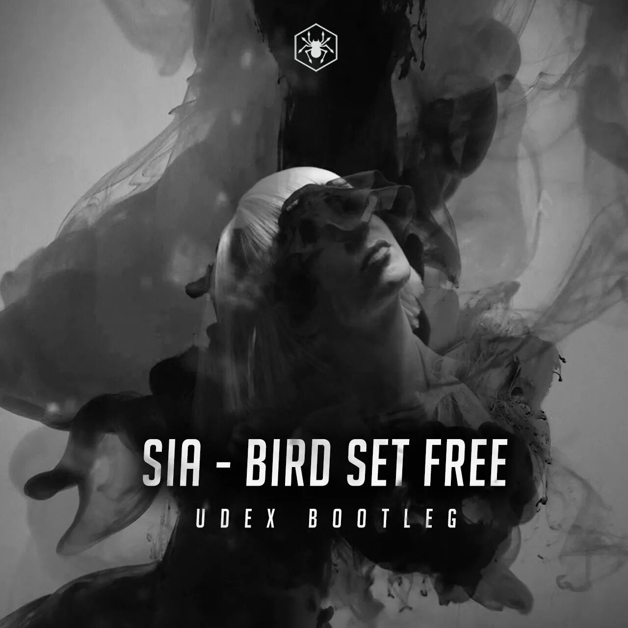 Sia bird. Sia Bird Set. Sia - Bird Set Fire. Sia обложки альбомов.