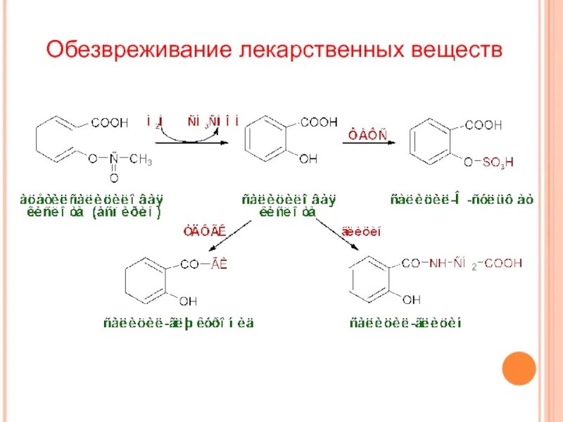 Обезвреживание веществ в печени. Обезвреживание лекарственных веществ. Обезвреживание в печени биохимия. Обезвреживание лекарственных веществ в печени. Механизмы обезвреживания веществ в печени.