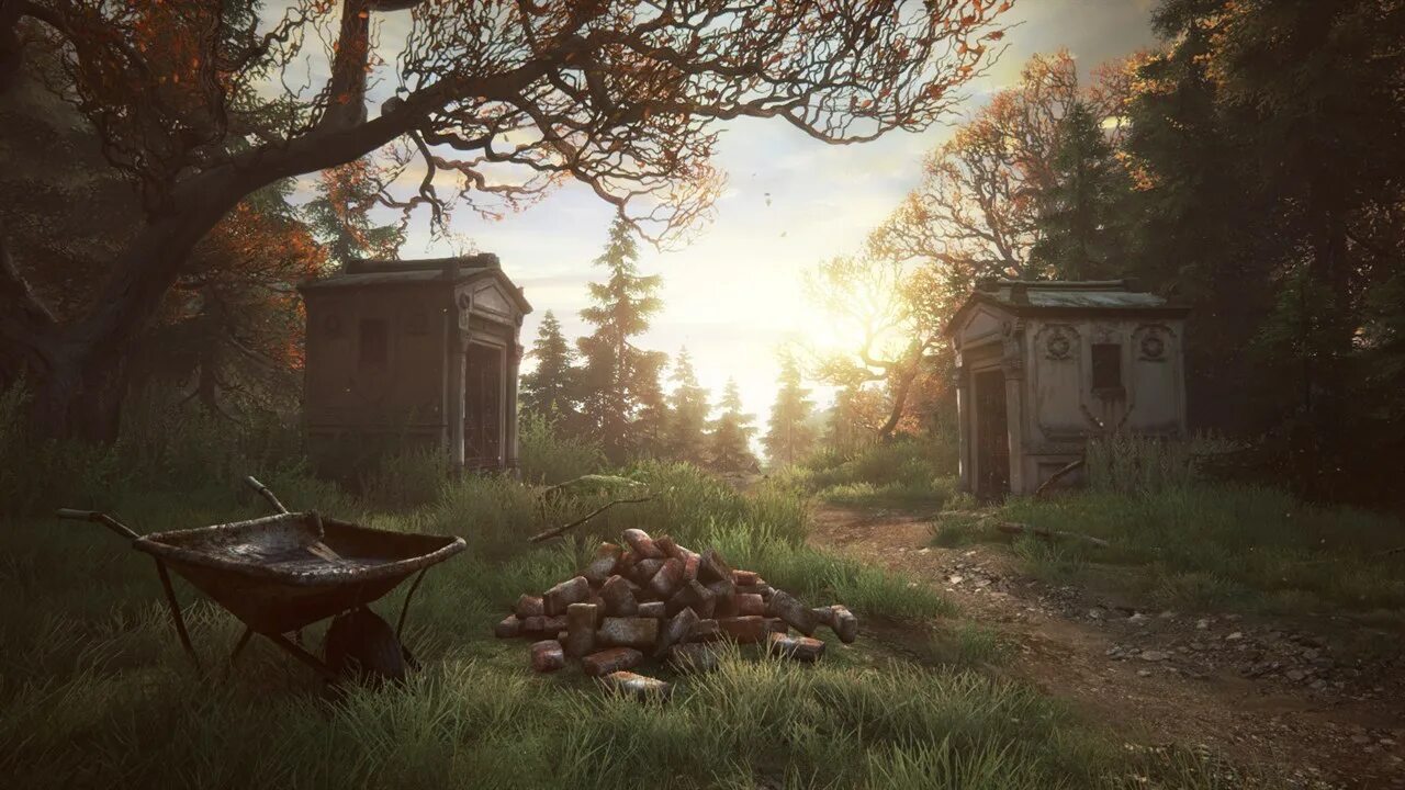 The vanishing of ethan carter итан. The vanishing of ethan carter. The vanishing of ethan carter игра. The vanishing of ethan carter обложка. Игра the vanishing of ethan.