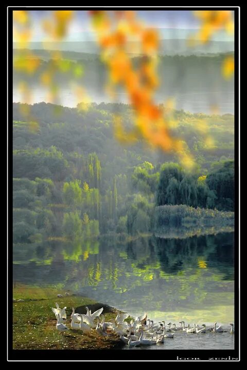 Igor Zenin (Игорь Зенин) (21).jpg (с изображениями) Пейзажи, Фотографии, Фото пе