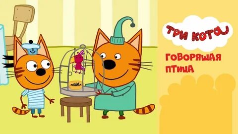 Стс про кота