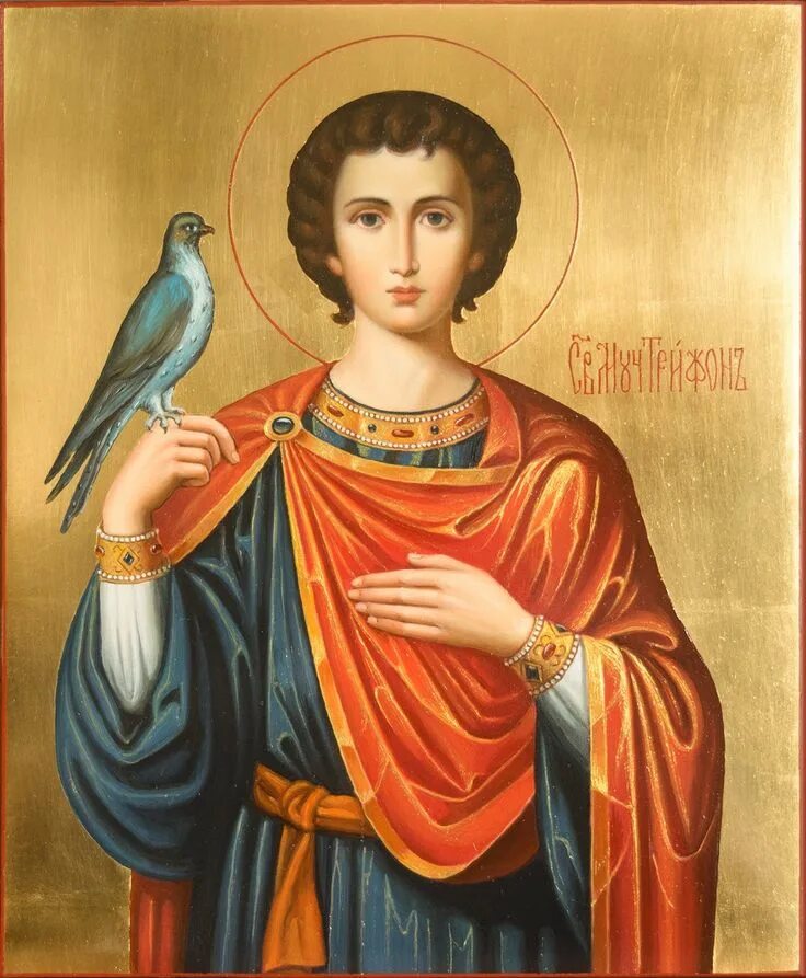 Святой преподобный трифон вятский. Мч. Св муч трифон икона. Преподобном трифоне. Трифон апамейский икона.