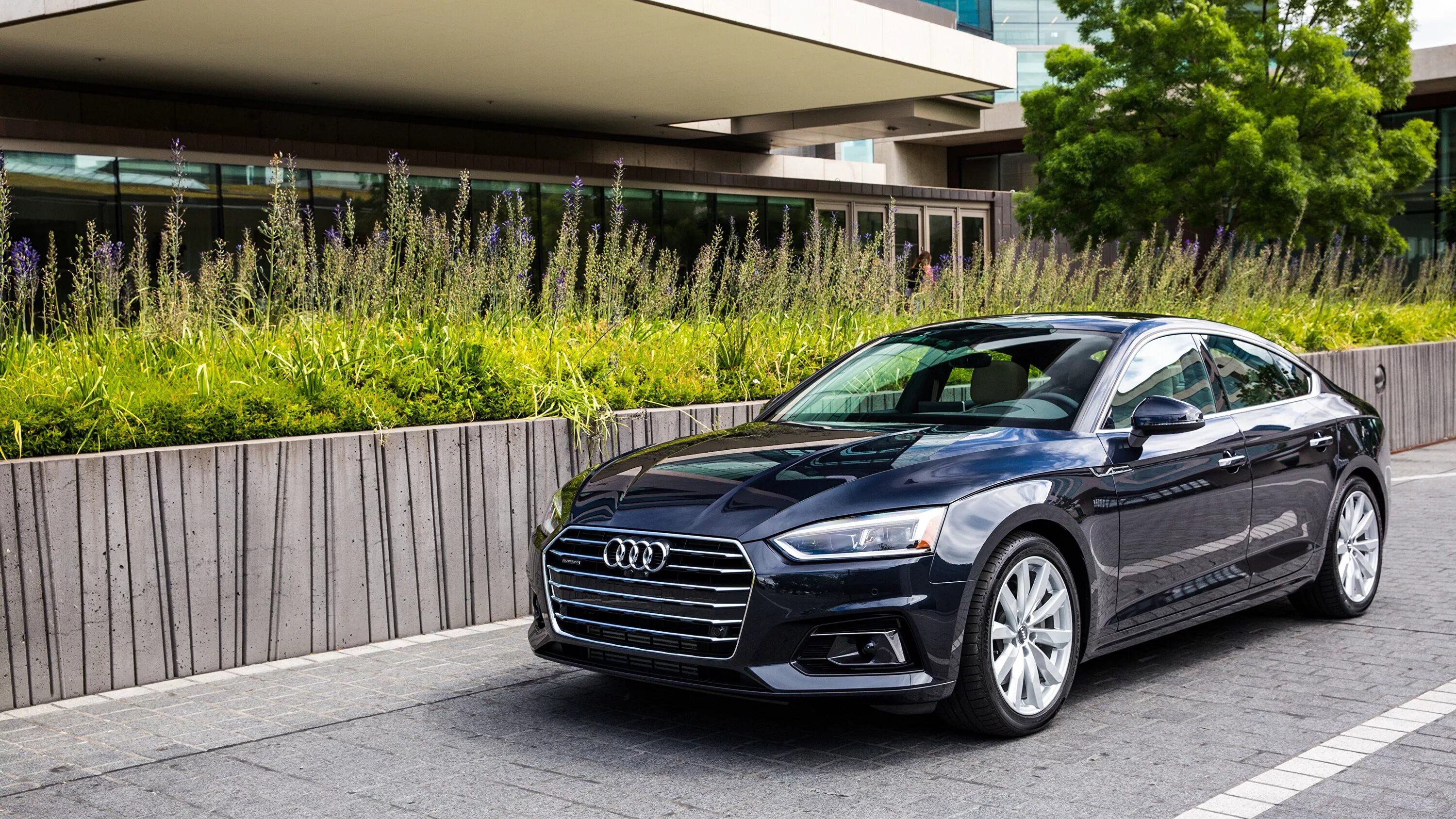 0 5 0 5 2018. Audi a5 sportback 2020 салон. Audi sq5 2017. Audi a5 sportback 2017 салон. Audi sq5 sportback.