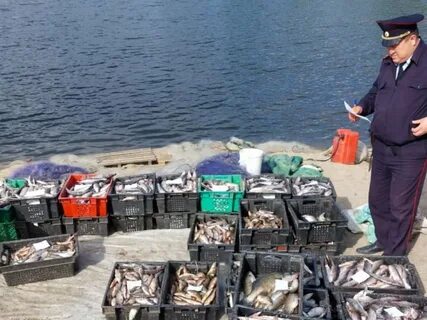 Общество рыболовов челябинской
