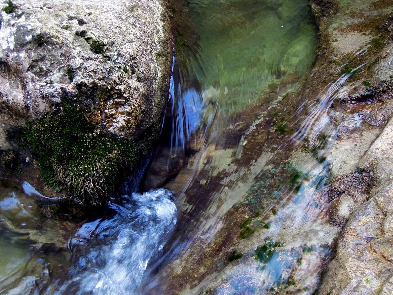 Растительный источник воды