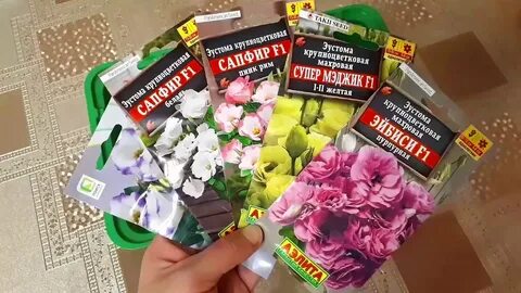 Чем подкормить эустому