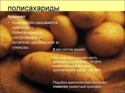 В его состав вошел и
