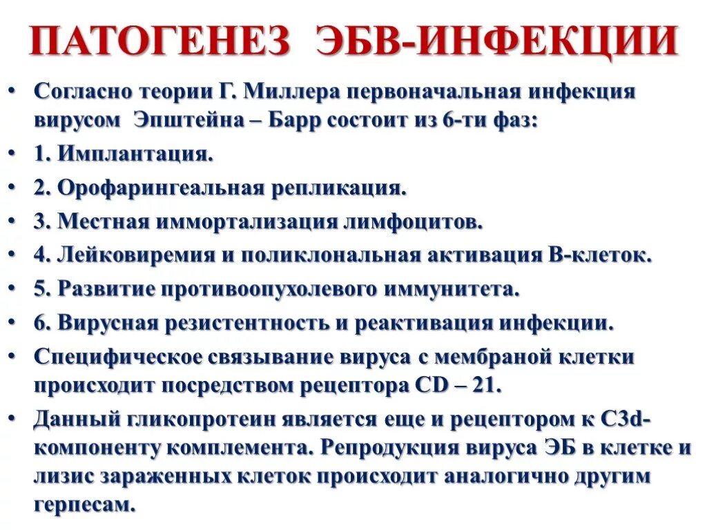 Моноуклеоз. Инфекционный мононуклеоз патогенез схема. Вирус Эпштейна-Барр репликация. Вирус Эпштейна-Барр патогенез. Вирус Эпштейна бара патогенез.