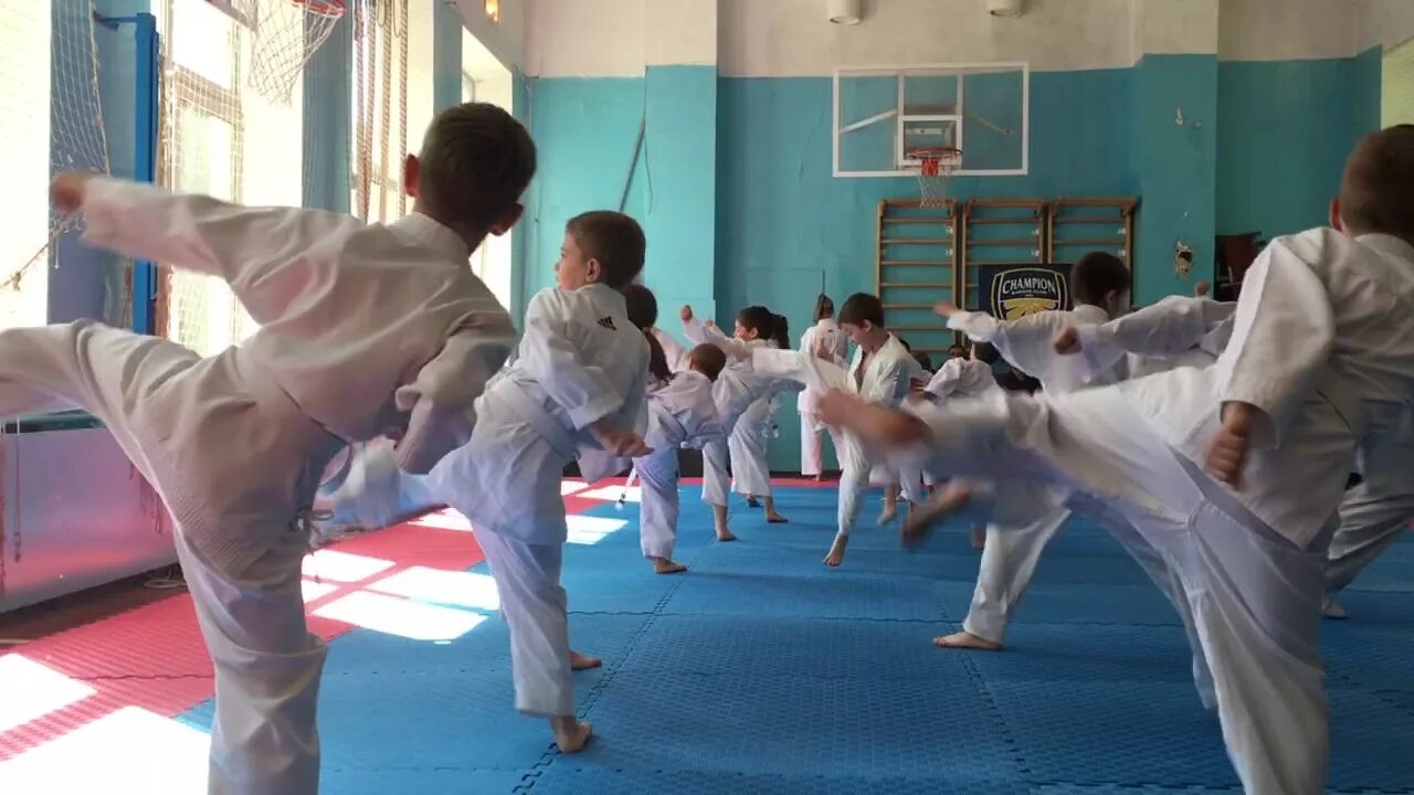 Каратэ 8 кю. 8 кю каратэ. кю тест каратэ. техника на 8 кю. 11 кю в каратэ.