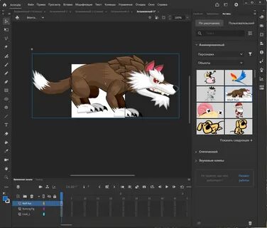 Adobe animate 2024