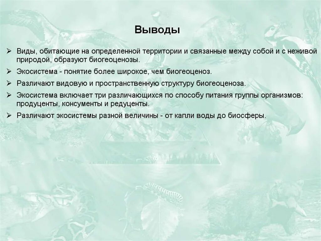 Экосистема вывод. Вывод по теме экосистемы. Экологическая система вывод. Вывод на тему структура экосистемы. Лабораторная работа изучение искусственных сообществ