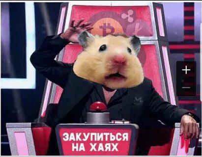 Почему не пришли деньги с хомяка