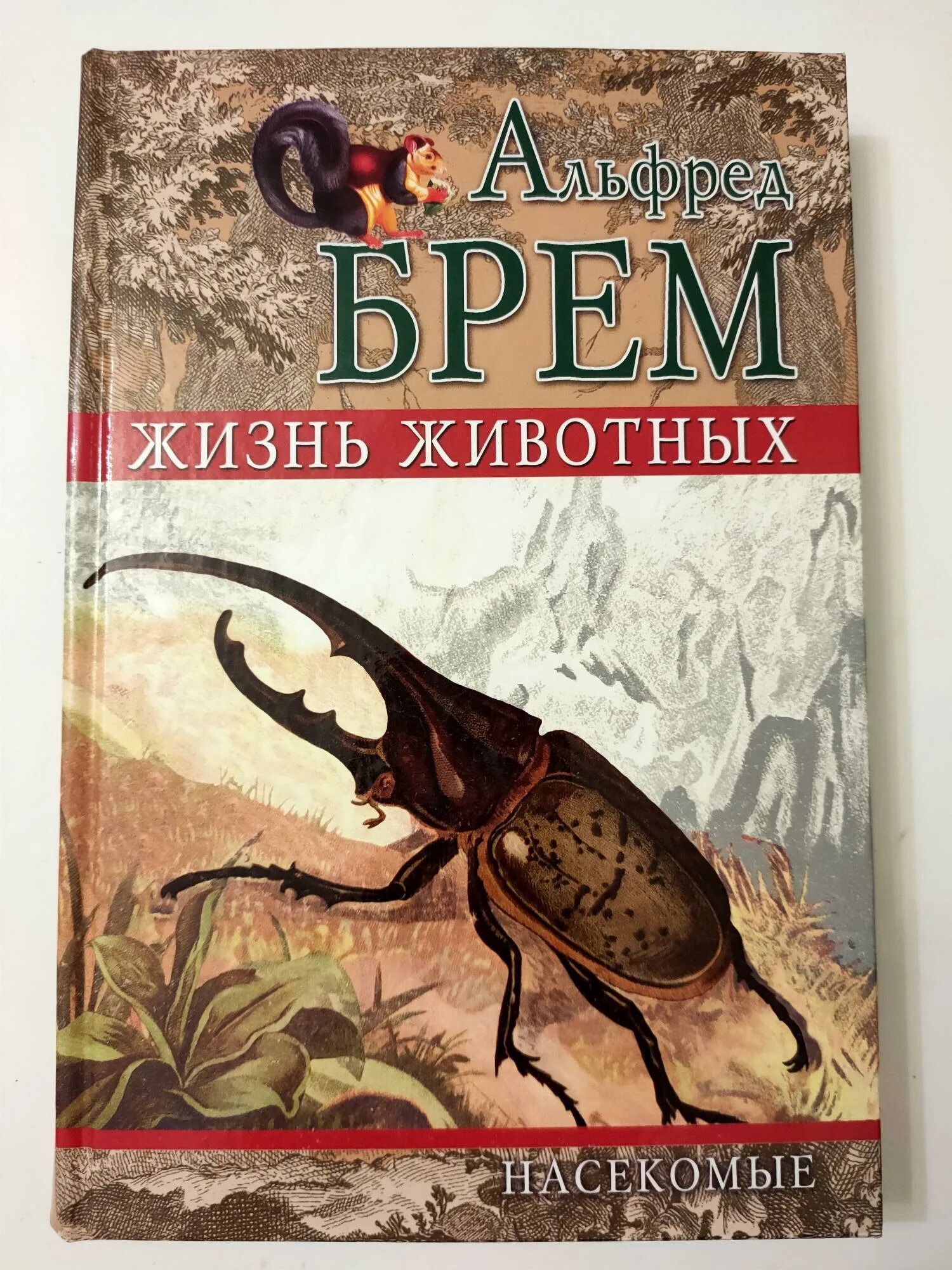Жизнь животных том 1. Альфред брем насекомые. жизни животных жизнь насекомых брем. альфред брем жизнь животных т.3. альфреда эдмунда брема «жизнь животных.