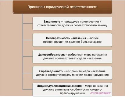 Общие правовые принципы это