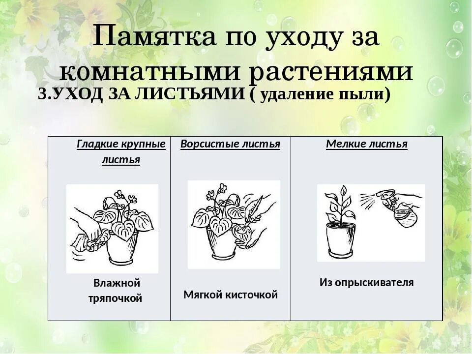 Карта ухаживающего