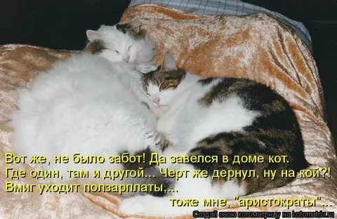 Буду заботливым другом