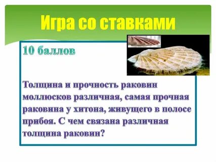 Прочность раковины