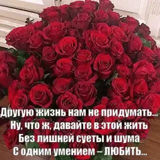 Стихи нам в жизни многое