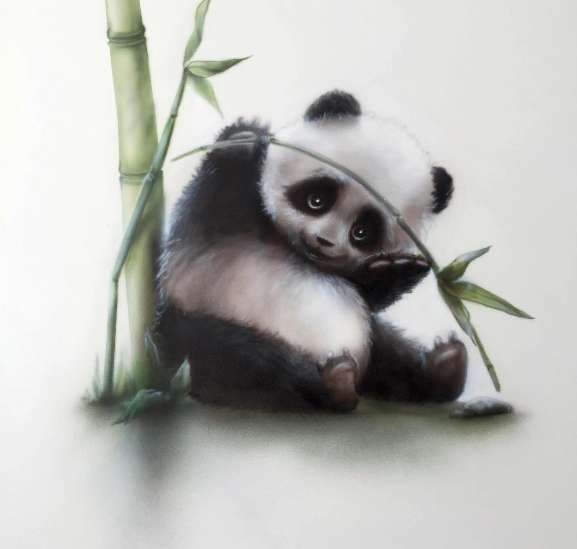 Панды мультяшные. Панда арт милый. Милые панды рисунки. Рисунок милой панды. Картинка милой панды