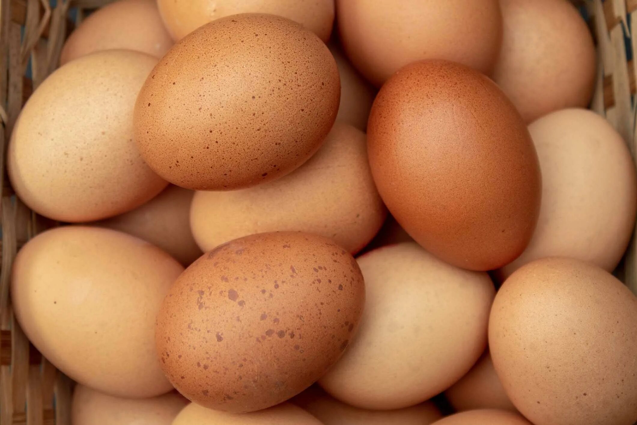 Яйцо куриное. Яйцо домашнее. Яйца кур. Домашние куриные яйца.