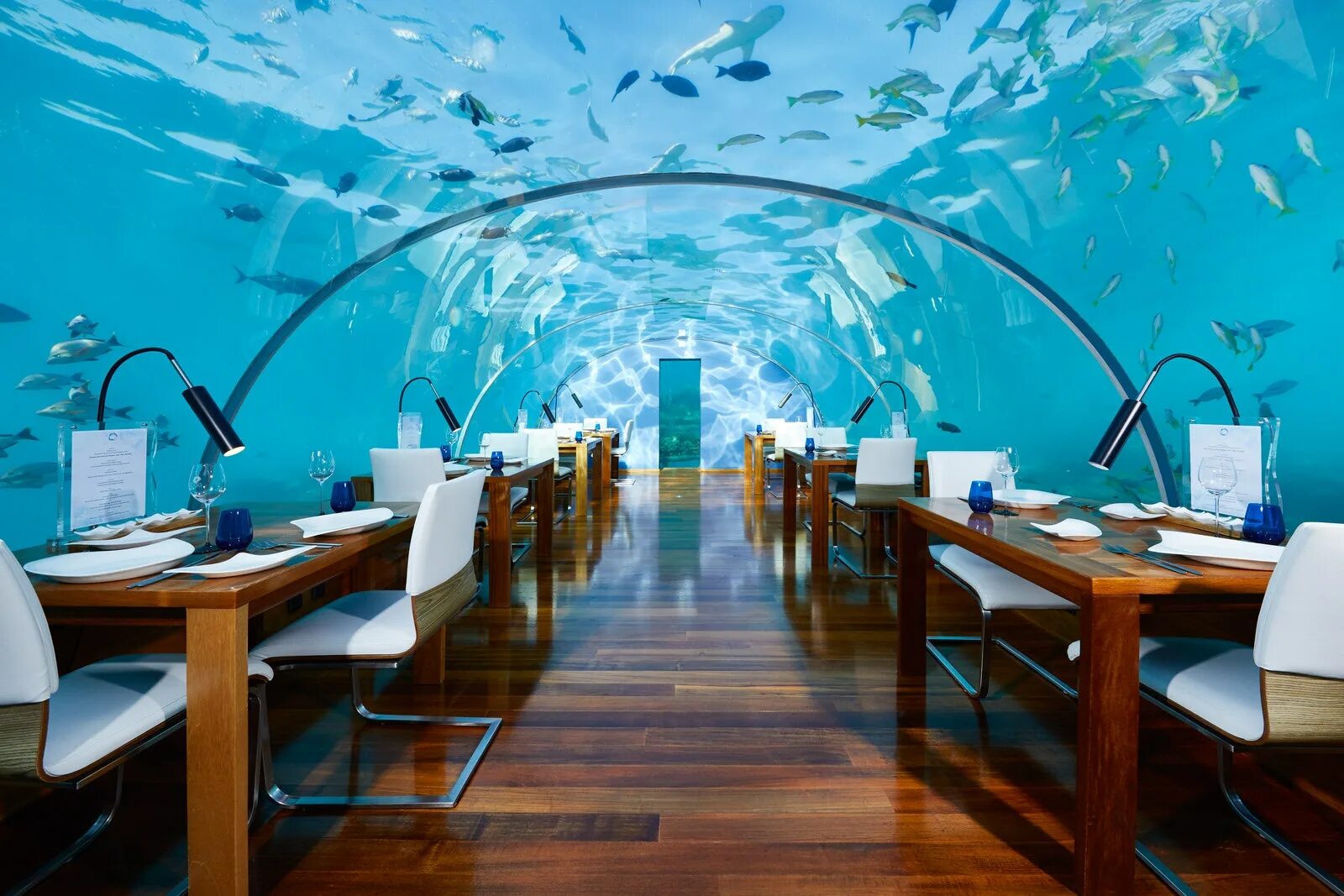 Ithaa Undersea Restaurant (Мальдивы). Conrad Maldives Rangali Island, Мальдивы. Ithaa Undersea ресторан. Ithaa — первый в мире подводный ресторан. Unique view