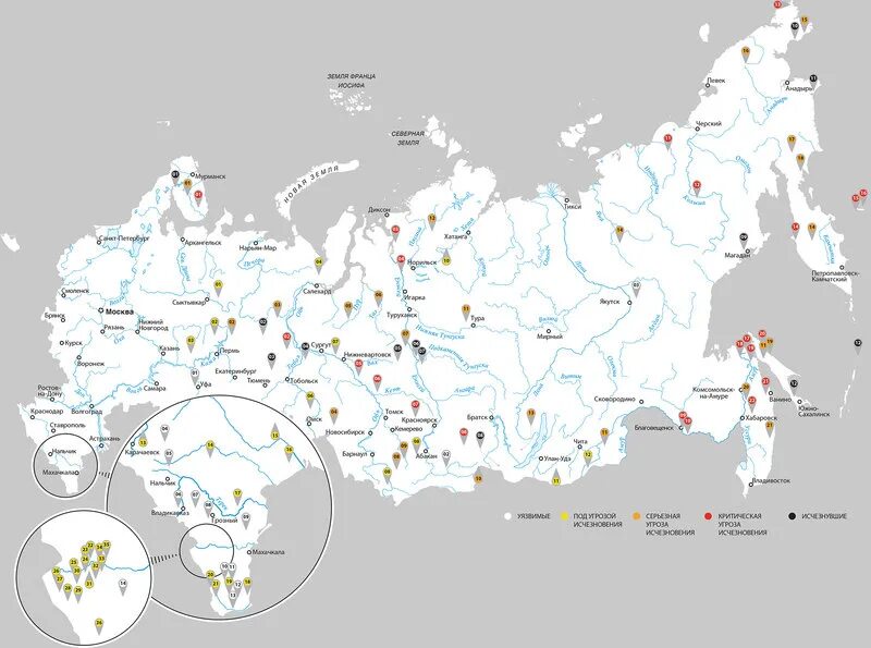 Карта языков россии 2024. Атлас ЮНЕСКО исчезающие языки.