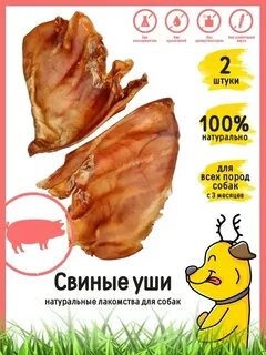 Можно ли собаке свиные уши
