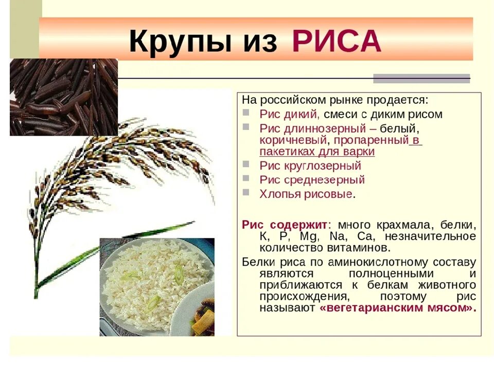 Крупы из риса. Виды круп из риса. Рис злаковое растение. Какие виды круп из риса. Меню сайт риса