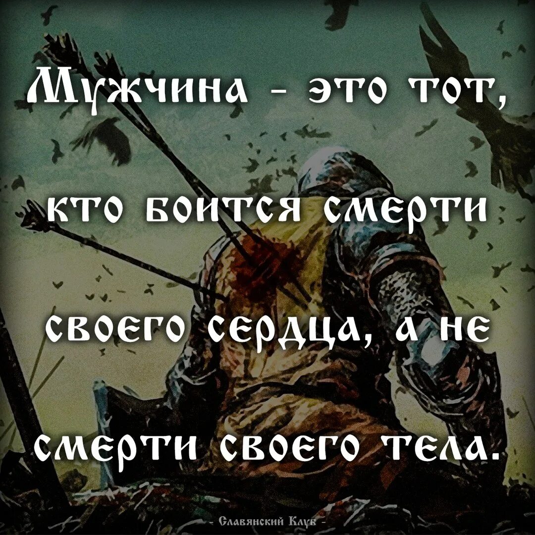 Не надо бояться жить. Кто не боится смерти цитаты. Цитаты про смерть. Идущий к смерти смерти не боится. Цитаты про страх.