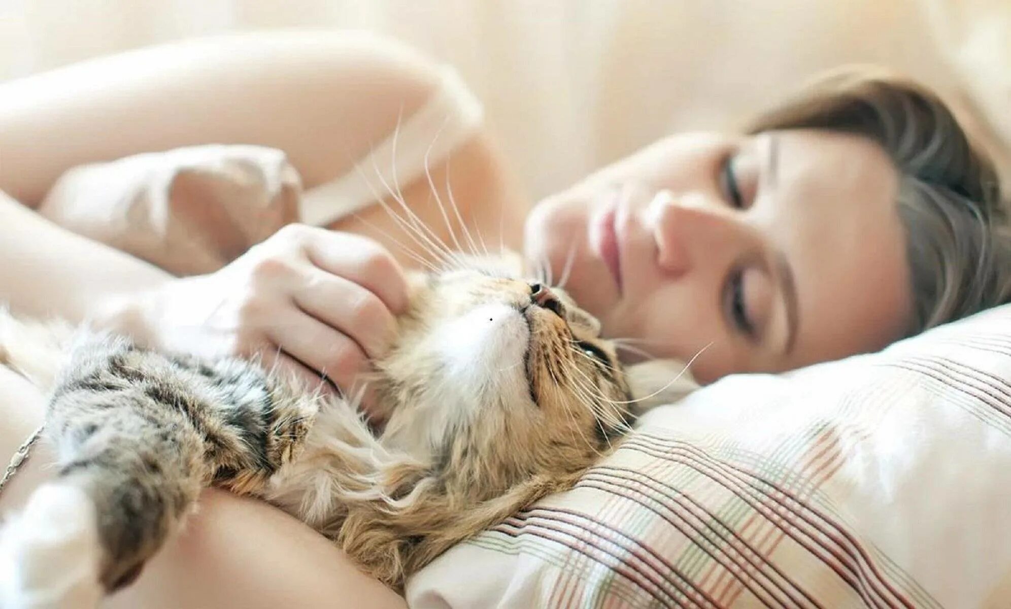 Можно ли спать с кошкой. Можно ли спать с кошкой